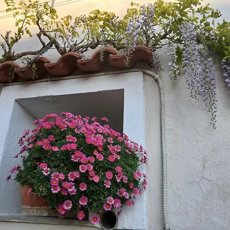 Maison Charmante - Monolocale In Pieno Centro!