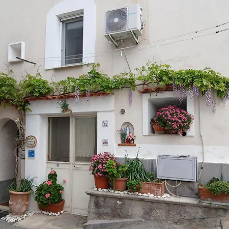 Maison Charmante - Monolocale In Pieno Centro! Apartment Forio di Ischia